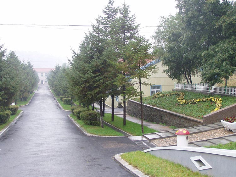 康復路.jpg